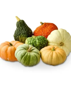 Тикви - професионални семена