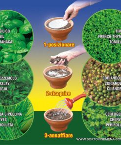 Подправки на диск 6 вида – Ароматна градина в саксия