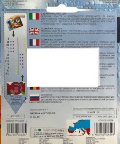 Семена за цветя Газания Микс (Gazania Multiflor) – Слънчеви цветове за вашата градина