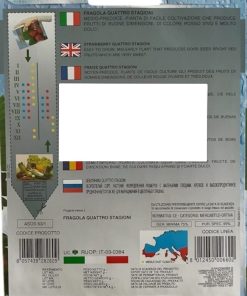 Семена за Ягоди Четири сезона – Сладка реколта през целия сезон