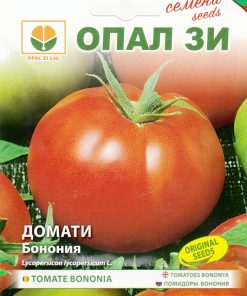 Сортови семена за Домати Бонония – Царят на безколовото отглеждане!