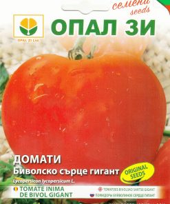 Сортови семена за Домати Биволско сърце гигант – Легендарният вкус в огромни размери!