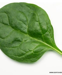 Спанак Evoque F1 (Евок F1) – Превъзходен избор