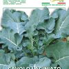 Семена за Кейл Португалски с гладки листа – Тъмнозелен, хранителен и устойчив