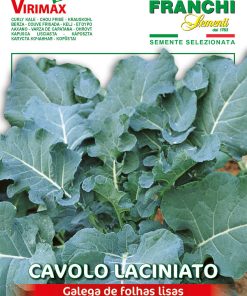 Семена за Кейл Португалски с гладки листа – Тъмнозелен, хранителен и устойчив