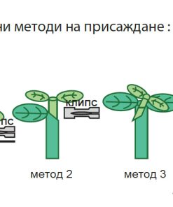 Подложка Flexifort F1 (Флексифорт F1) – Универсалната основа