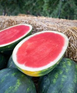 Дини Cracker Jack F1 (Кракър Джак F1) – Безсеменният хибрид с изключителен вкус