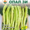Сортови семена за Пипер Чорбаджийски – Традиционният фаворит за хрупкави маринати!