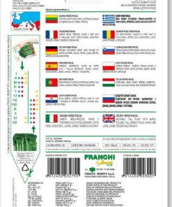 Сортови семена за Целина дръжкова Паскал – Хрупкавост, аромат и здраве