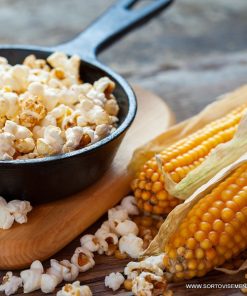 Семена за Царевица за пуканки