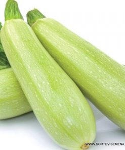 Тиквички Ardendo 174 F1 (Ардендо 174 F1) – Еталон за лятно производство