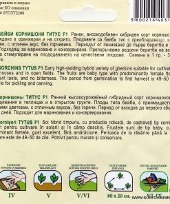 Сортови семена за Бейби корнишони Титус F1 – Малкият гигант за хрупкава зимнина!
