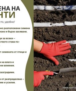 Инструкция за засяване на семена на ленти