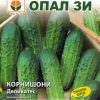 Сортови семена за Корнишони Деликатес – Салатният фаворит за хрупкавост и свежест!