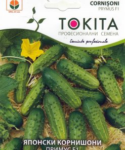 Сортови семена за Корнишони Примус F1 – Японско качество от Tokita
