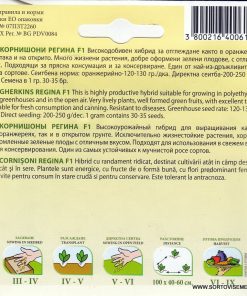 Сортови семена за Корнишони Регина F1 – Кралицата на устойчивостта и богатия добив!
