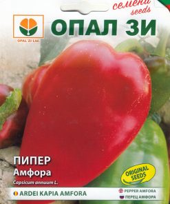 Сортови семена за Пипер Амфора – Мощност, устойчивост и превъзходен вкус!