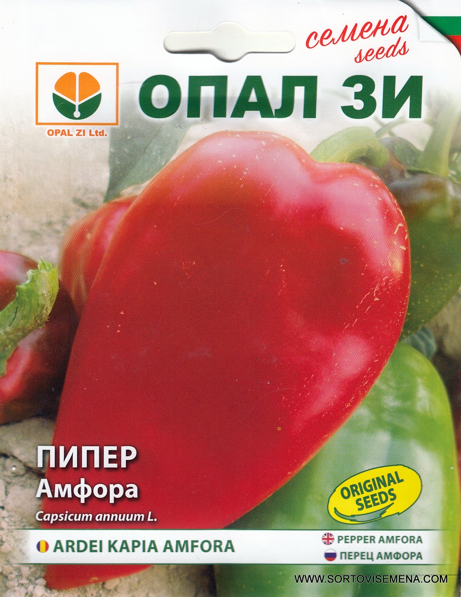 Сортови семена за Пипер Амфора – Мощност, устойчивост и превъзходен вкус!
