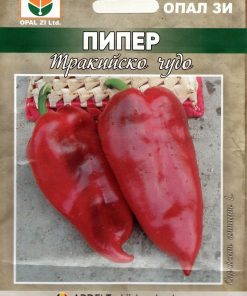 Сортови семена за Пипер Тракийско чудо – Мощен добив и превъзходни технологични качества!