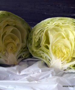 Салата Stylist F1 (Стилист F1) – Бърз растеж