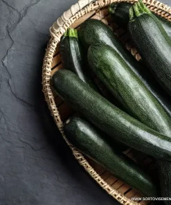 Тиквички Kayssar F1 (Кайсар F1)