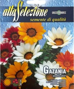 Семена за цветя Газания Микс (Gazania Multiflor) – Слънчеви цветове за вашата градина