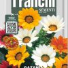 Сортови семена за Газания Микс (Gazania Multiflor) – Слънчеви цветове за алпинеуми и бордюри