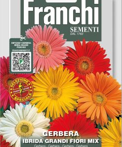 Сортови семена за Гербер с големи цветове микс – Специална селекция!