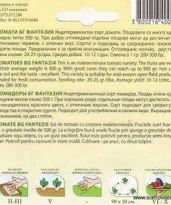 Сортови семена за Домати БГ Фантазия – Гигантът с интензивен червен цвят и превъзходен вкус!