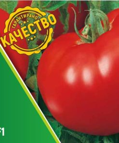 Сортови семена за Домати БГ Грамада F1 – Вкусът от градината на баба в модерна форма!