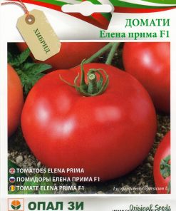 Сортови семена за Домати Елена Прима F1 – Българският шампион за открити площи!