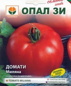 Сортови семена за Домати Миляна – Професионалният стандарт за устойчивост и висока продуктивност!
