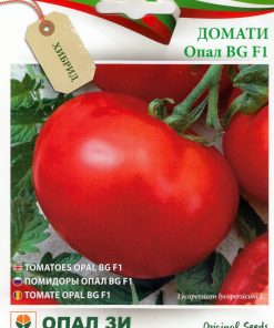 Сортови семена за Домати Опал BG F1 – Професионалният избор за ранна и качествена реколта!