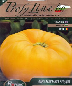 Сортови семена за Домати Оранжево чудо – Слънчев лъч и меден вкус във всяка хапка!