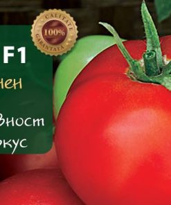 Домати Финал F1 – Супер ранен хибрид