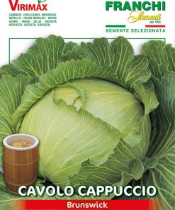 Семена за Зеле Брунсуик бяло главесто (Brunswick)- Традиция и качество от Franchi