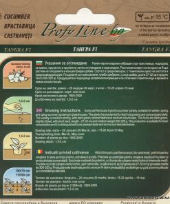 Сортови семена за Краставици Тангра F1 – Силата и вкусът на българската селекция!