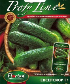 Сортови семена за Краставици корнишони Екселсиор F1 – Шампионът по родовитост и качество!