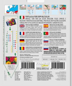 Сортови семена за Калдъръмче кичесто микс – Огнено слънце за Вашата градина!