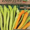 Сортови семена за Пипер Лют оранжев Чорбаджийски – Пикантно бижу за вашата трапеза!