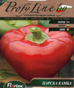 Сортови семена за Царска камба – Кралицата на есенната зимнина!