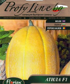 Сортови семена за Пъпеш Атила F1 – Новият български великан със захарен вкус!