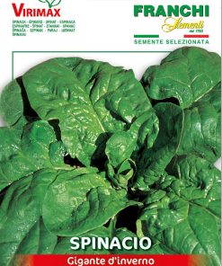 Семена за Спанак Зимен гигант – Свежа реколта през студените месеци