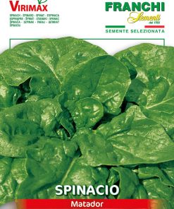 Семена за Спанак Матадор – Кралят на ранната реколта