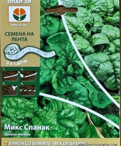 Спанак микс на семенна лента – Витаминозна бомба без усилия