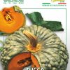 Семена за Тиква кръгла набръчкана – Есенен чар и сладка плътност