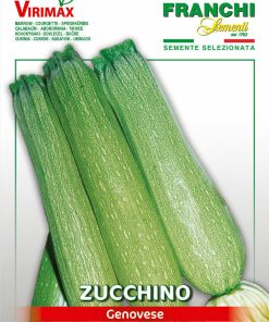 Сортови семена за Тиквички Геновезе – Ранна реколта и нежен вкус