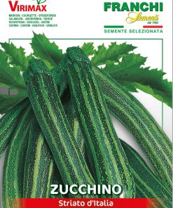 Сортови семена за Тиквички италиански на ивици – Кулинарно съкровище с елегантен вид