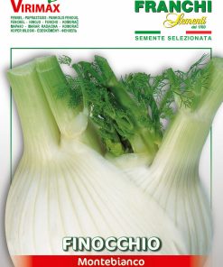 Сортови семена за Фенел Главест копър (Резене) – Свеж аромат и средиземноморски вкус