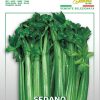 Сортови семена за Целина дръжкова Паскал – Хрупкавост, аромат и здраве